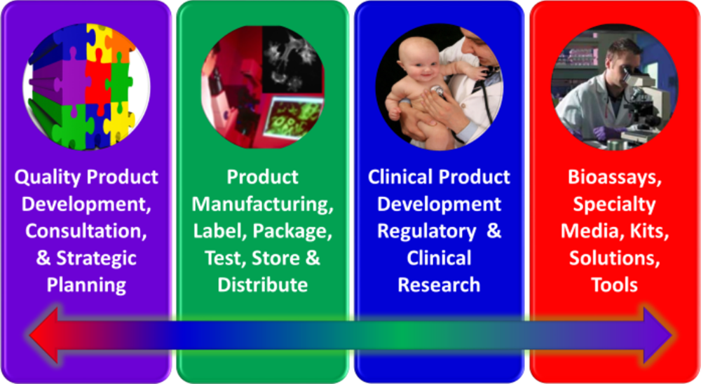 REGMED-CTP-SERVICES