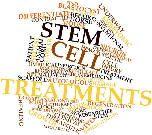 StemCellTreatments_Words