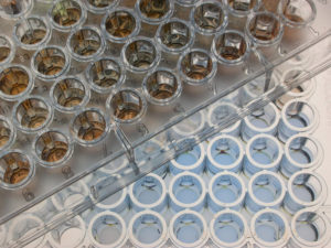 Microplates