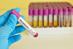 MycoplasmaTubes